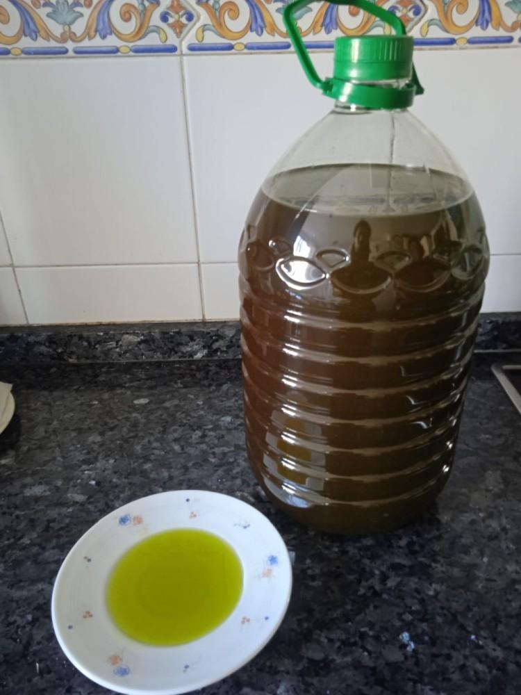Eine 5 Literflasche biologisches Olivenöl.